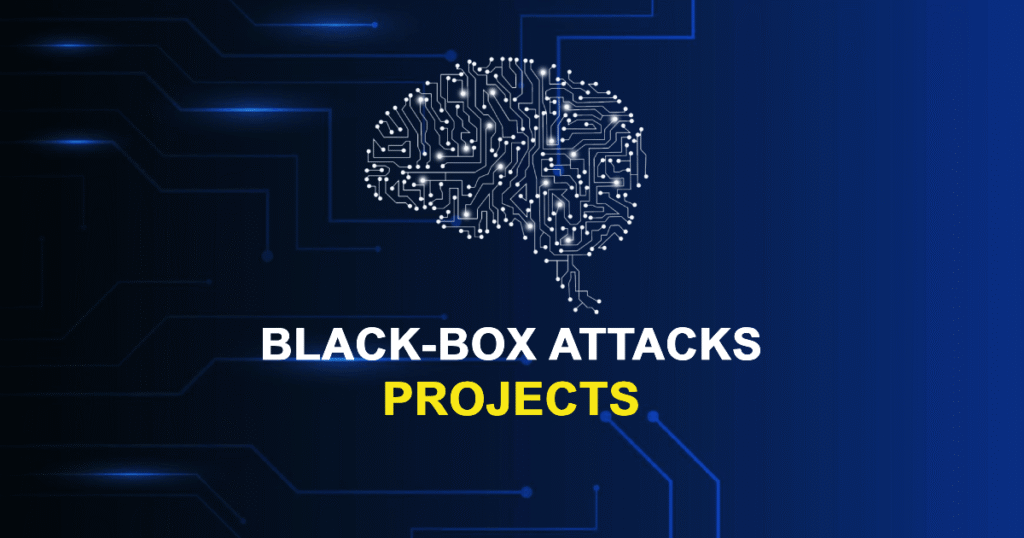 Black-Box Attacks Projects From Beginner to Advanced