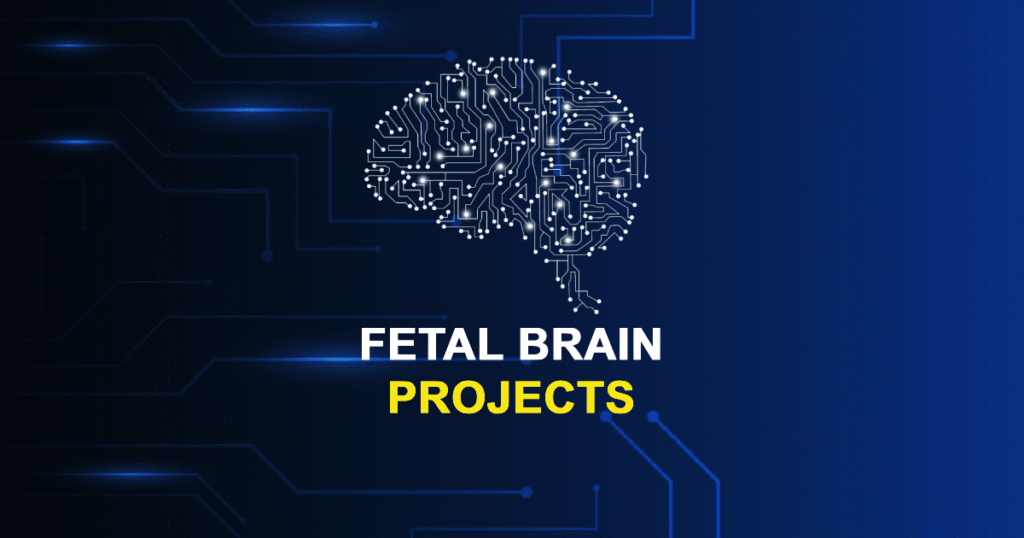 Fetal Brain Projects and Research Topics