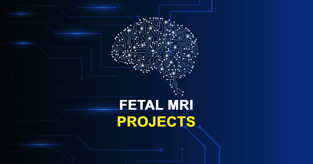 Fetal MRI Projects and Research Topics