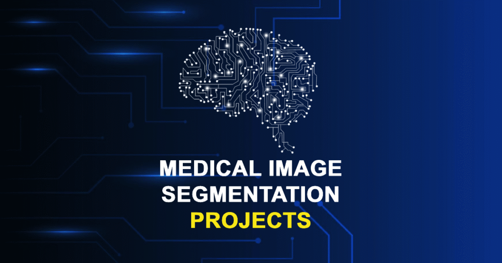 Medical Image Segmentation Projects for Final Year Students