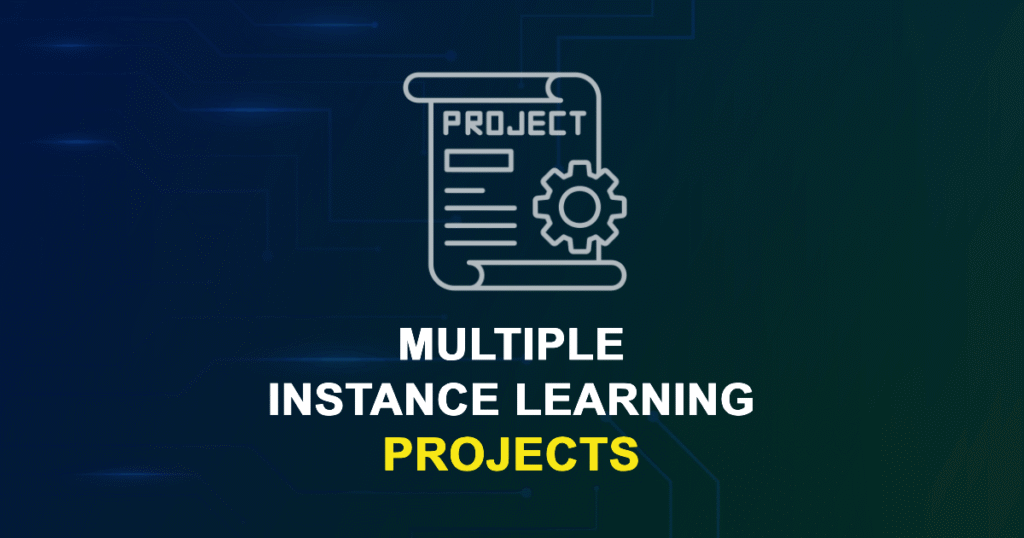 Multiple Instance Learning Projects for Final Year Students with Source Code