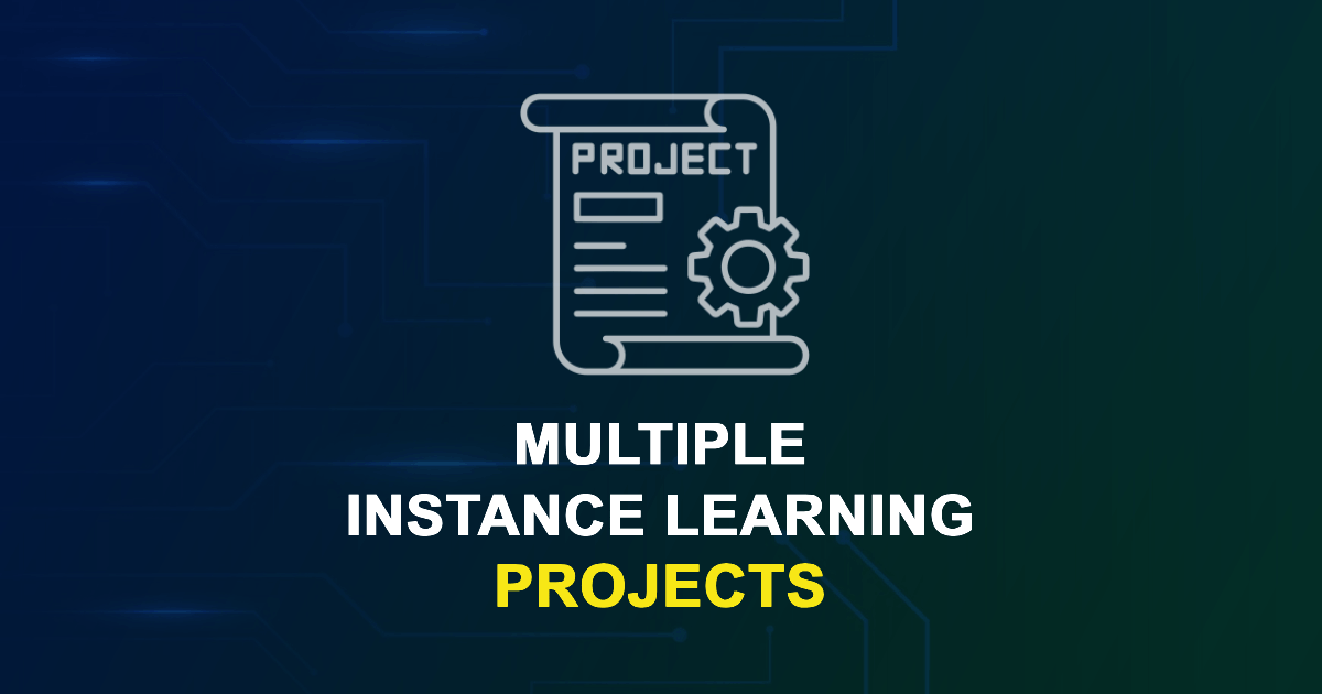 Multiple Instance Learning Projects for Final Year Students with Source ...