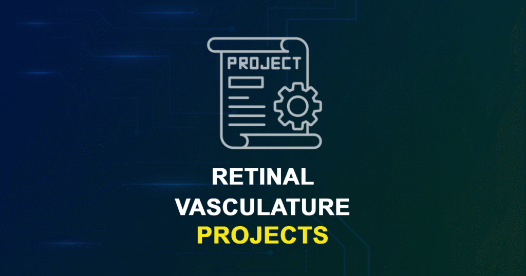 Retinal Vasculature Projects for MTech, MS & PhD Students