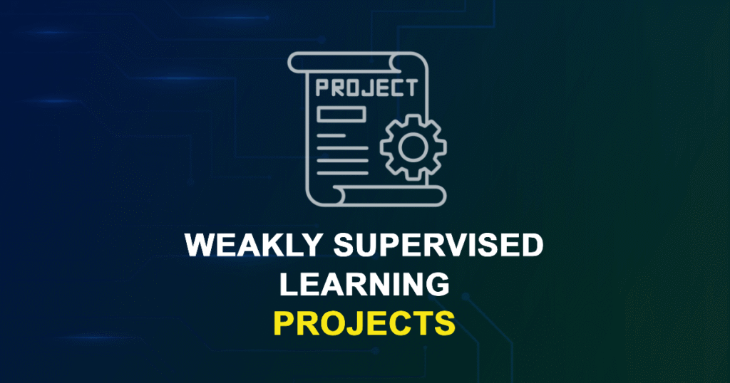 Weakly Supervised Learning Projects for Final Year Students