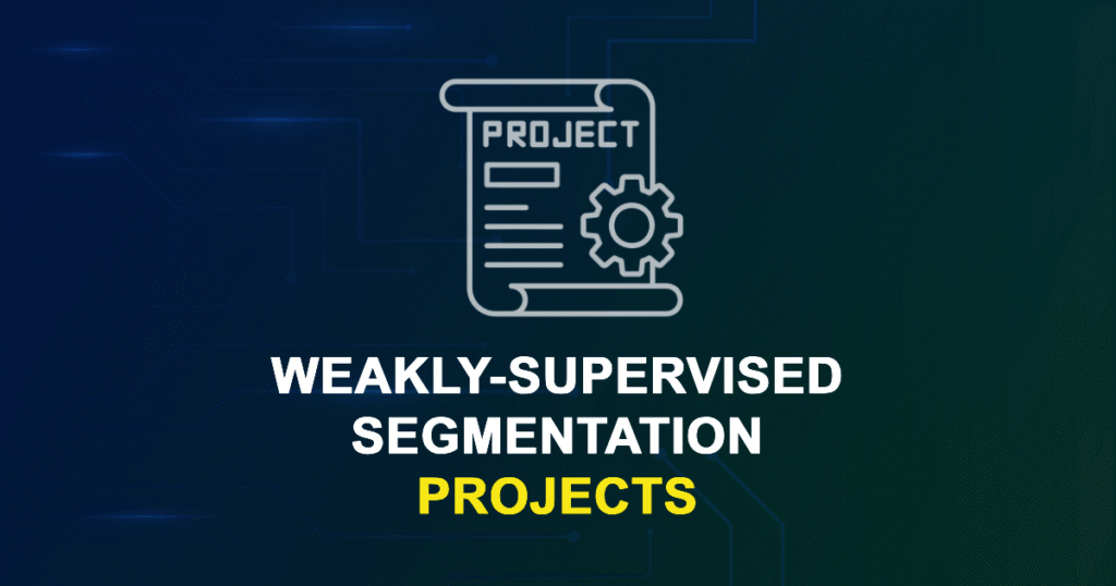 Weakly-Supervised Segmentation Projects | Research Topics with source code