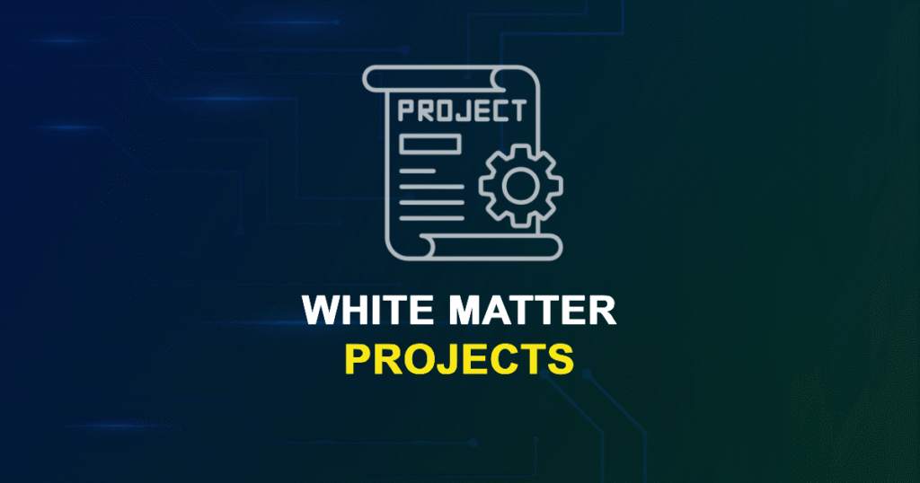 White Matter Projects & Research Ideas with source code